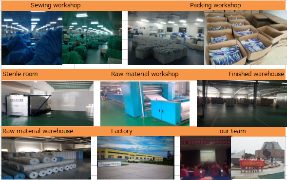Sanità di Pluscare (Hubei) Co., srl.